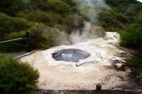 /album/fotogalerie-bay-of-plenty/te-puia-2-jpg/